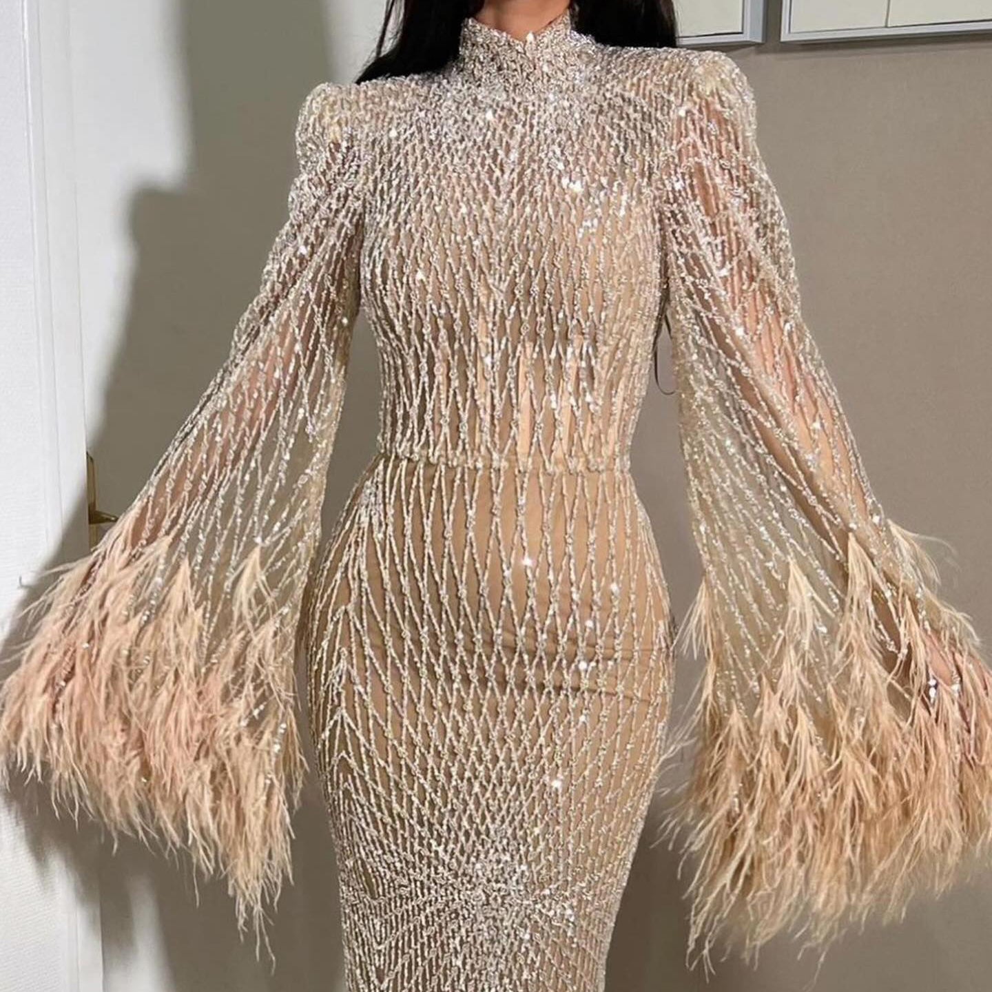 Luxury Feathers Nude Long Sleeves Evening Dress SS227