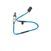 PE01-18-8G1 Oxygen Sensor