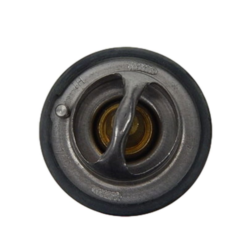 B48GA-76-M100 Thermostat for Great Wall, 10-20, low_margin - Staceedress Auto Parts