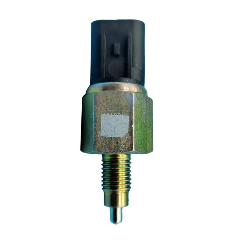 10261586-00 Interior Switch for BYD