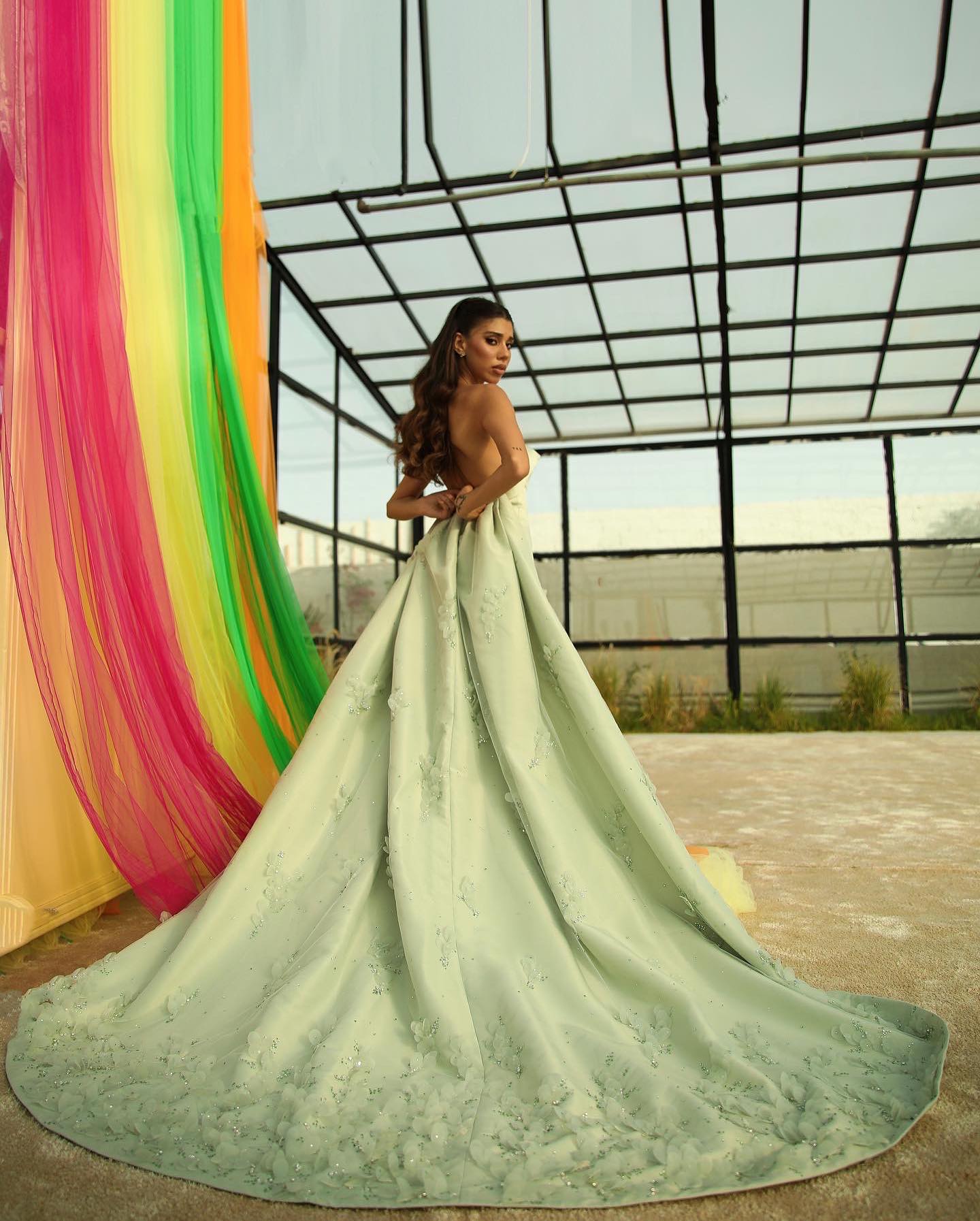 Luxury Crystal 3D Leaves Sage Green Evening Dress with Cape SS449